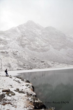 Cumhuriyet Yürüyüşü, Artabel'e 49