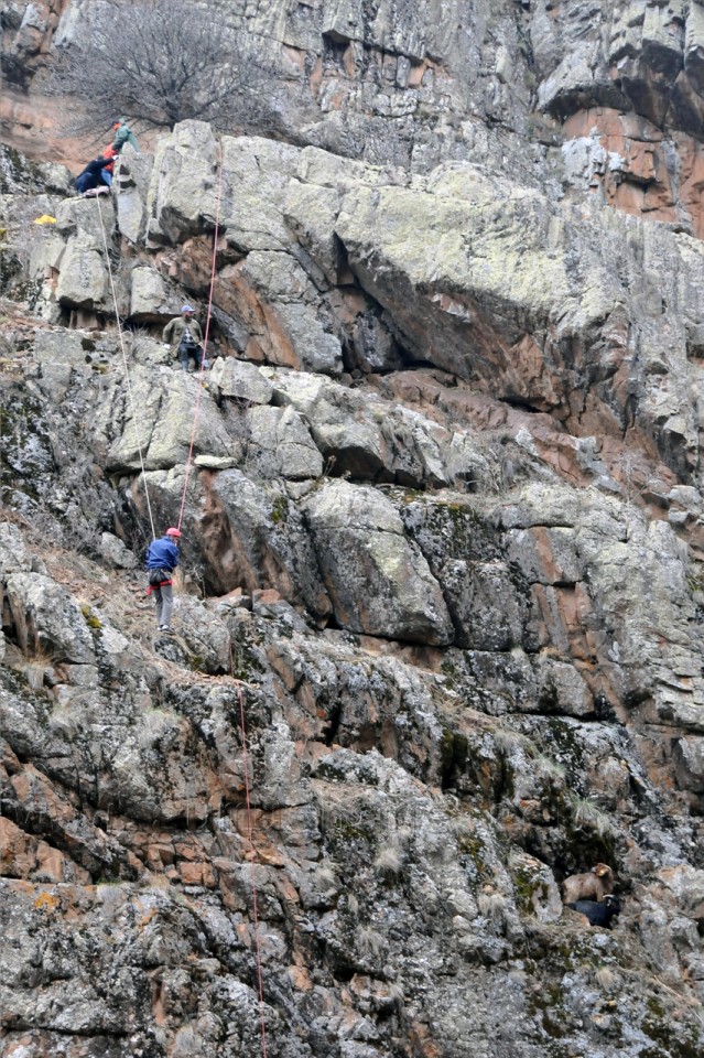 Gümüşhane'de Keçi Kurtarma Operasyonu 15