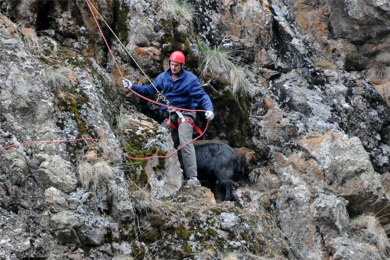Gümüşhane'de Keçi Kurtarma Operasyonu 17