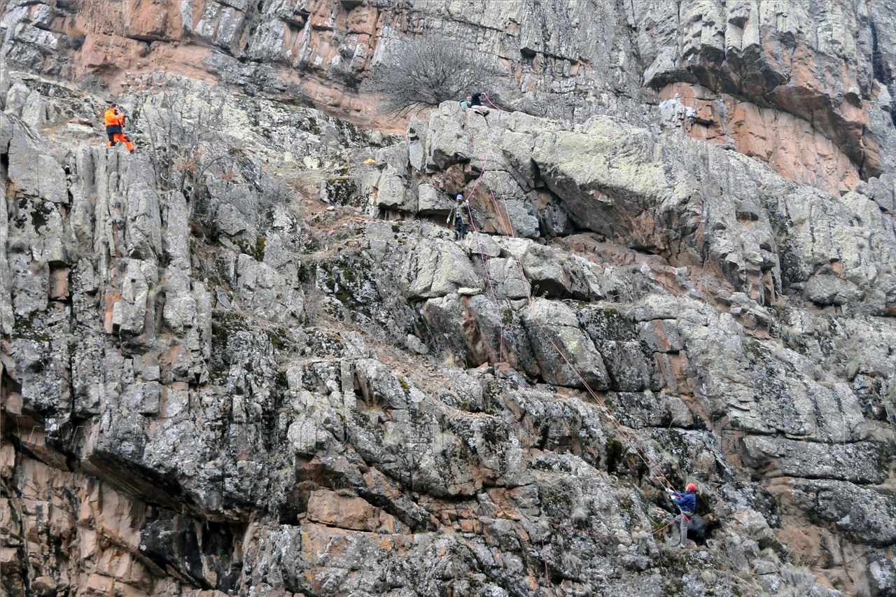 Gümüşhane'de Keçi Kurtarma Operasyonu 18