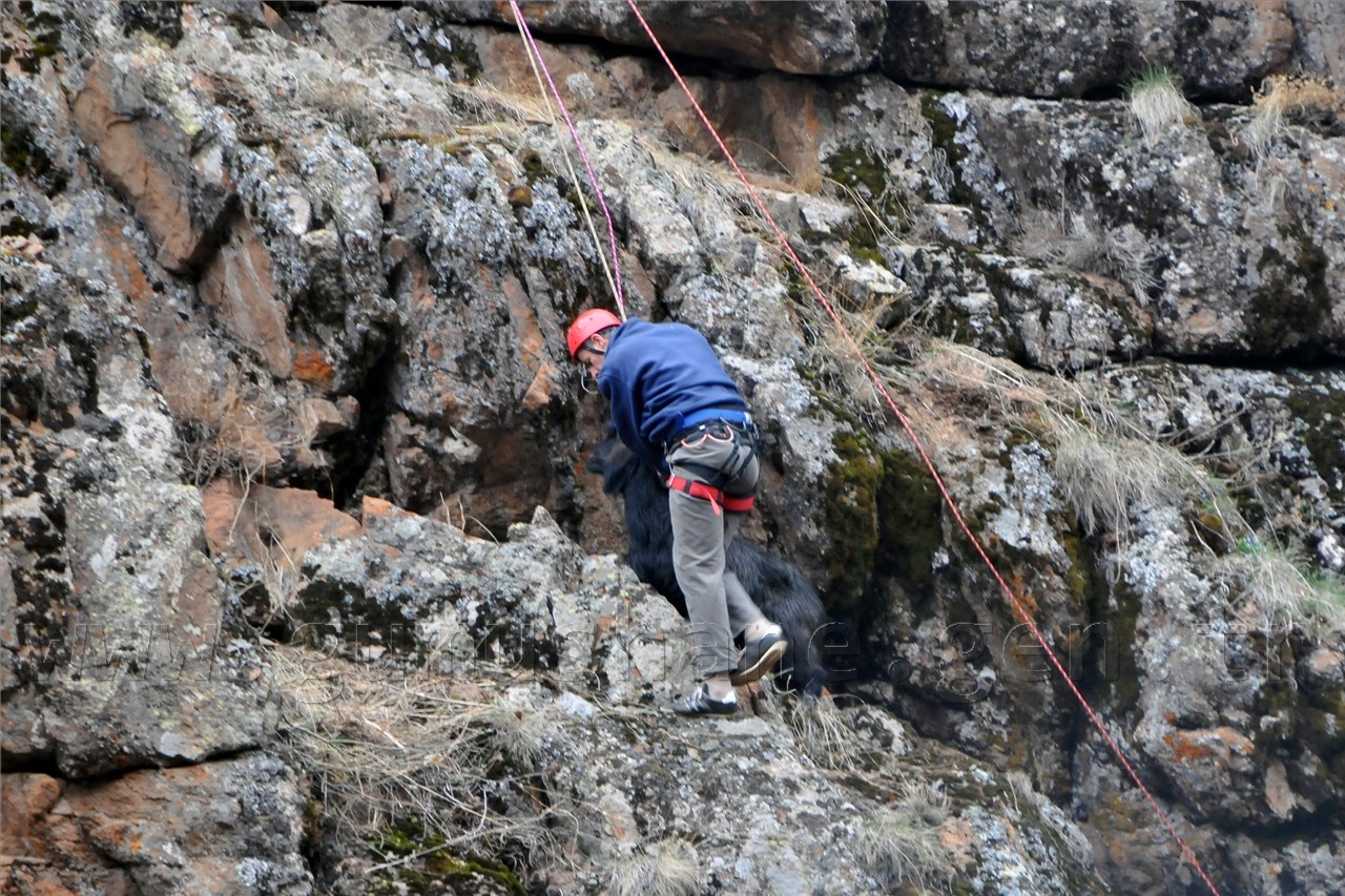 Gümüşhane'de Keçi Kurtarma Operasyonu 20