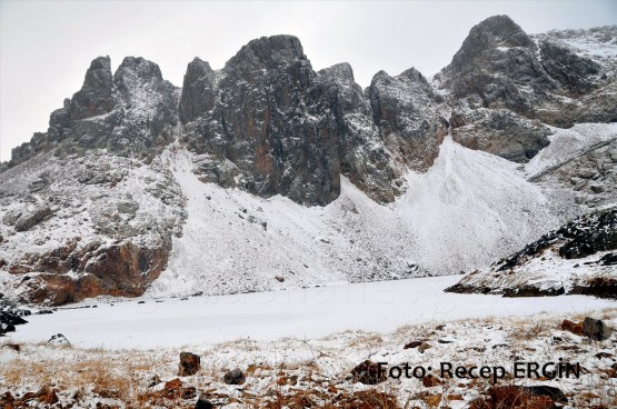 Cumhuriyet Yürüyüşü, Artabel'e 51