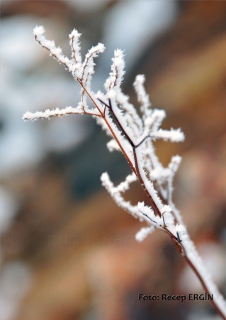 Cumhuriyet Yürüyüşü, Artabel'e 53