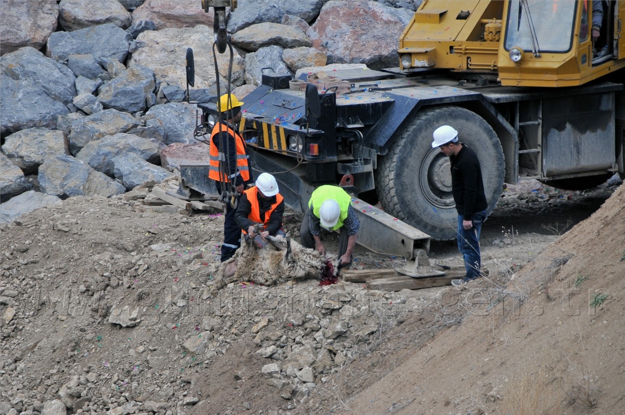 Kelkit'in Hayali Gerçek Oldu: Sadak Barajında Su Tutuldu 19