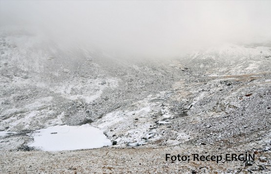 Cumhuriyet Yürüyüşü, Artabel'e 55