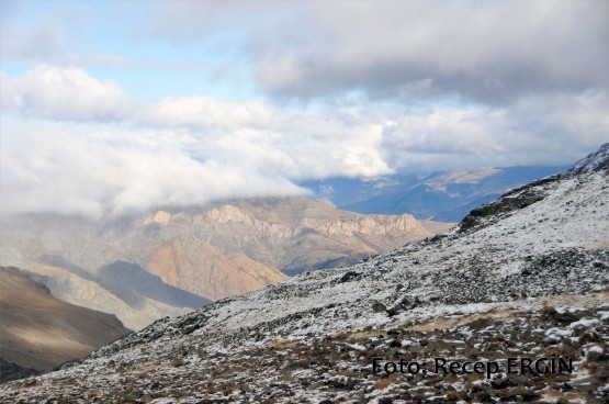 Cumhuriyet Yürüyüşü, Artabel'e 56