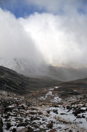 Cumhuriyet Yürüyüşü, Artabel'e 58