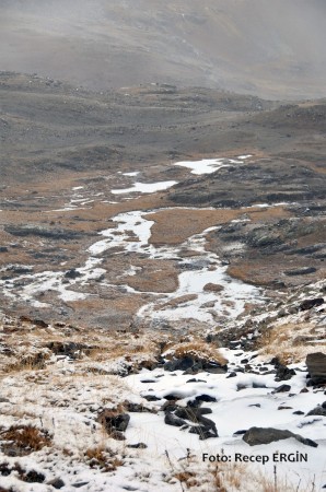 Cumhuriyet Yürüyüşü, Artabel'e 59