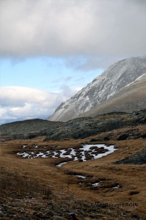 Cumhuriyet Yürüyüşü, Artabel'e 62