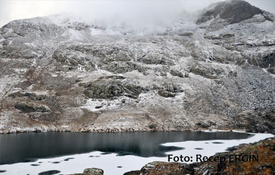 Cumhuriyet Yürüyüşü, Artabel'e 63