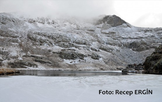 Cumhuriyet Yürüyüşü, Artabel'e 71