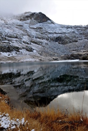 Cumhuriyet Yürüyüşü, Artabel'e 77