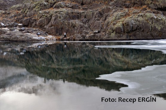Cumhuriyet Yürüyüşü, Artabel'e 81