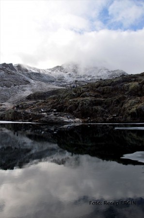Cumhuriyet Yürüyüşü, Artabel'e 82