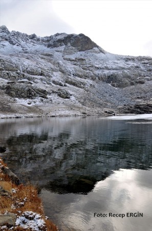 Cumhuriyet Yürüyüşü, Artabel'e 84