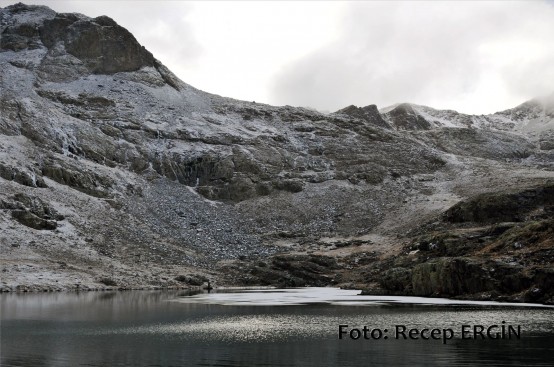 Cumhuriyet Yürüyüşü, Artabel'e 85