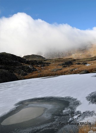 Cumhuriyet Yürüyüşü, Artabel'e 88