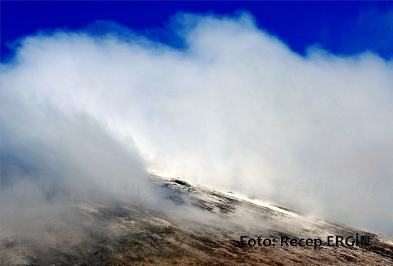 Cumhuriyet Yürüyüşü, Artabel'e 89