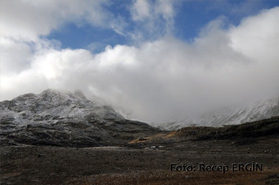 Cumhuriyet Yürüyüşü, Artabel'e 91