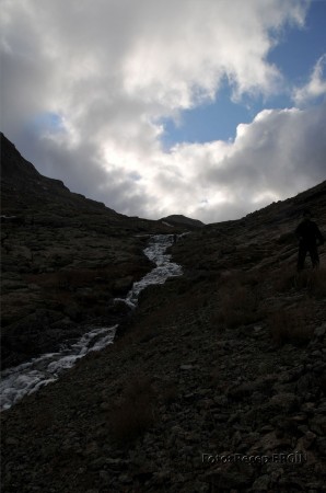 Cumhuriyet Yürüyüşü, Artabel'e 92