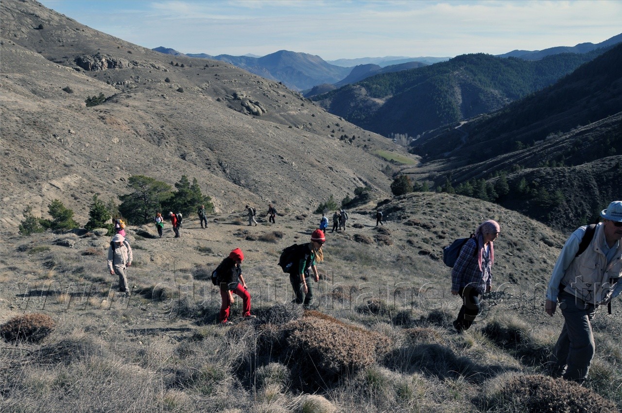 TEDAK, GÜDAK Gümüşhane Dağlarında Yürüdü 21