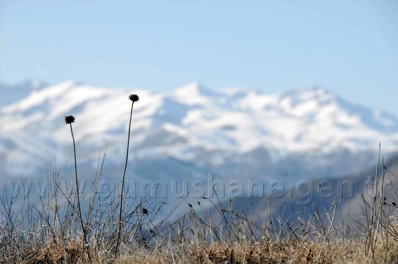 TEDAK, GÜDAK Gümüşhane Dağlarında Yürüdü 28