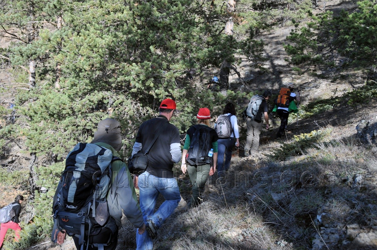 TEDAK, GÜDAK Gümüşhane Dağlarında Yürüdü 43