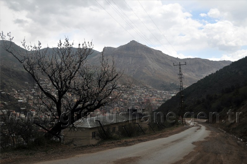 Sanaldı Gerçek Oldu 8