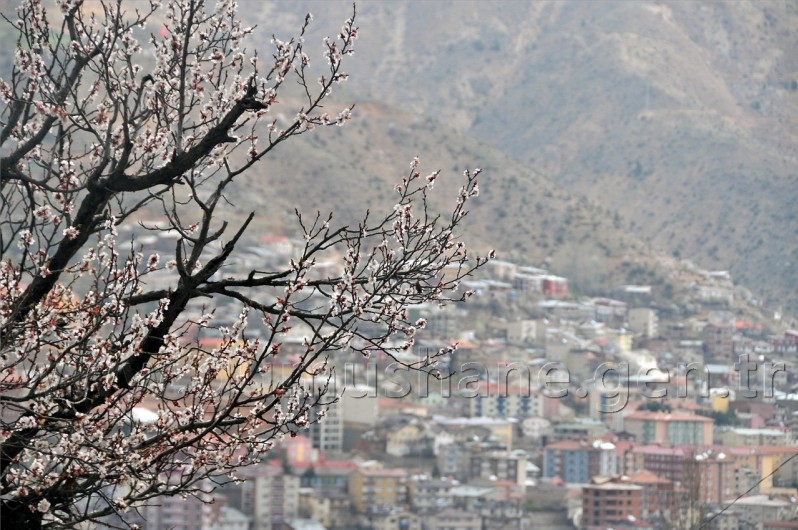 Sanaldı Gerçek Oldu 9