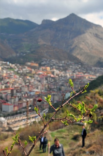 Sanaldı Gerçek Oldu 17