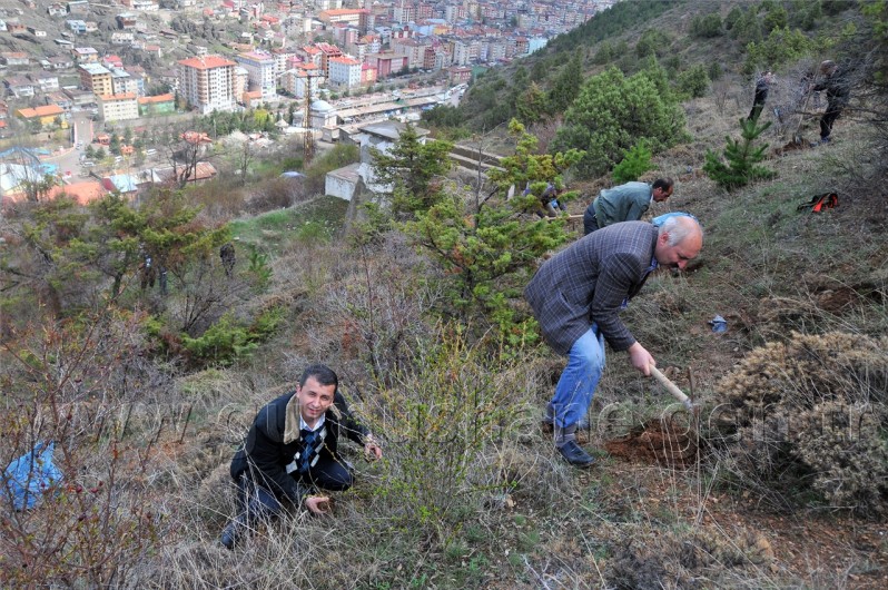 Sanaldı Gerçek Oldu 19