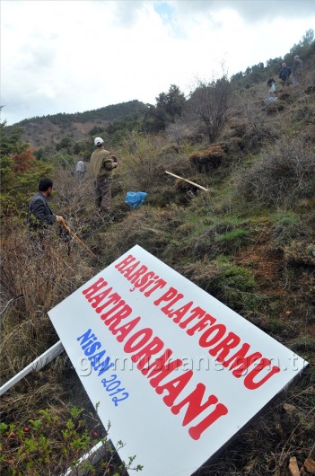Sanaldı Gerçek Oldu 29