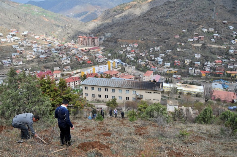 Sanaldı Gerçek Oldu 31