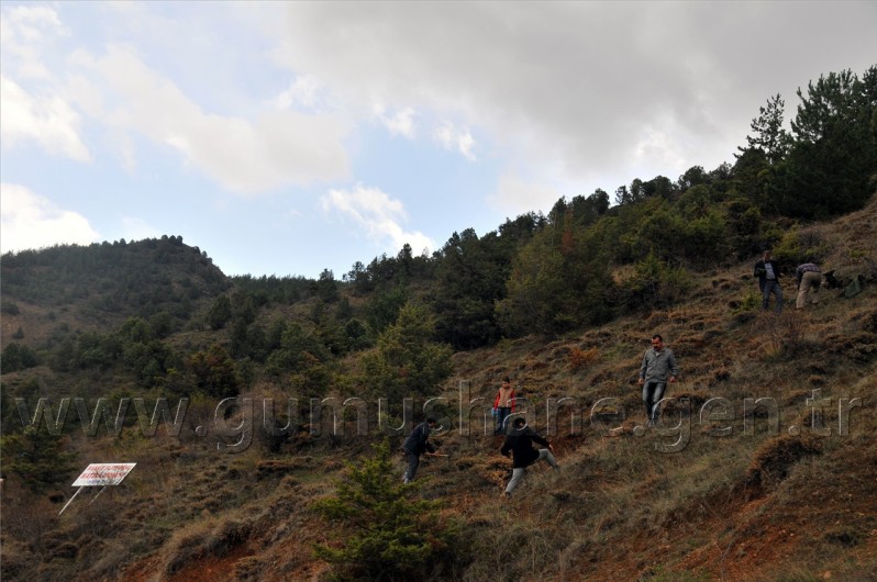 Sanaldı Gerçek Oldu 36