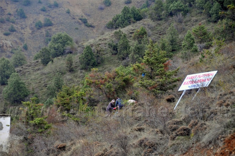 Sanaldı Gerçek Oldu 37