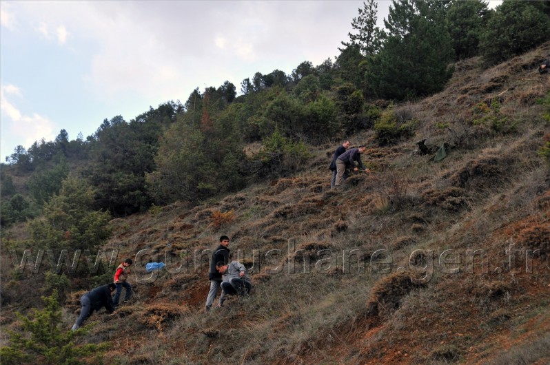 Sanaldı Gerçek Oldu 38