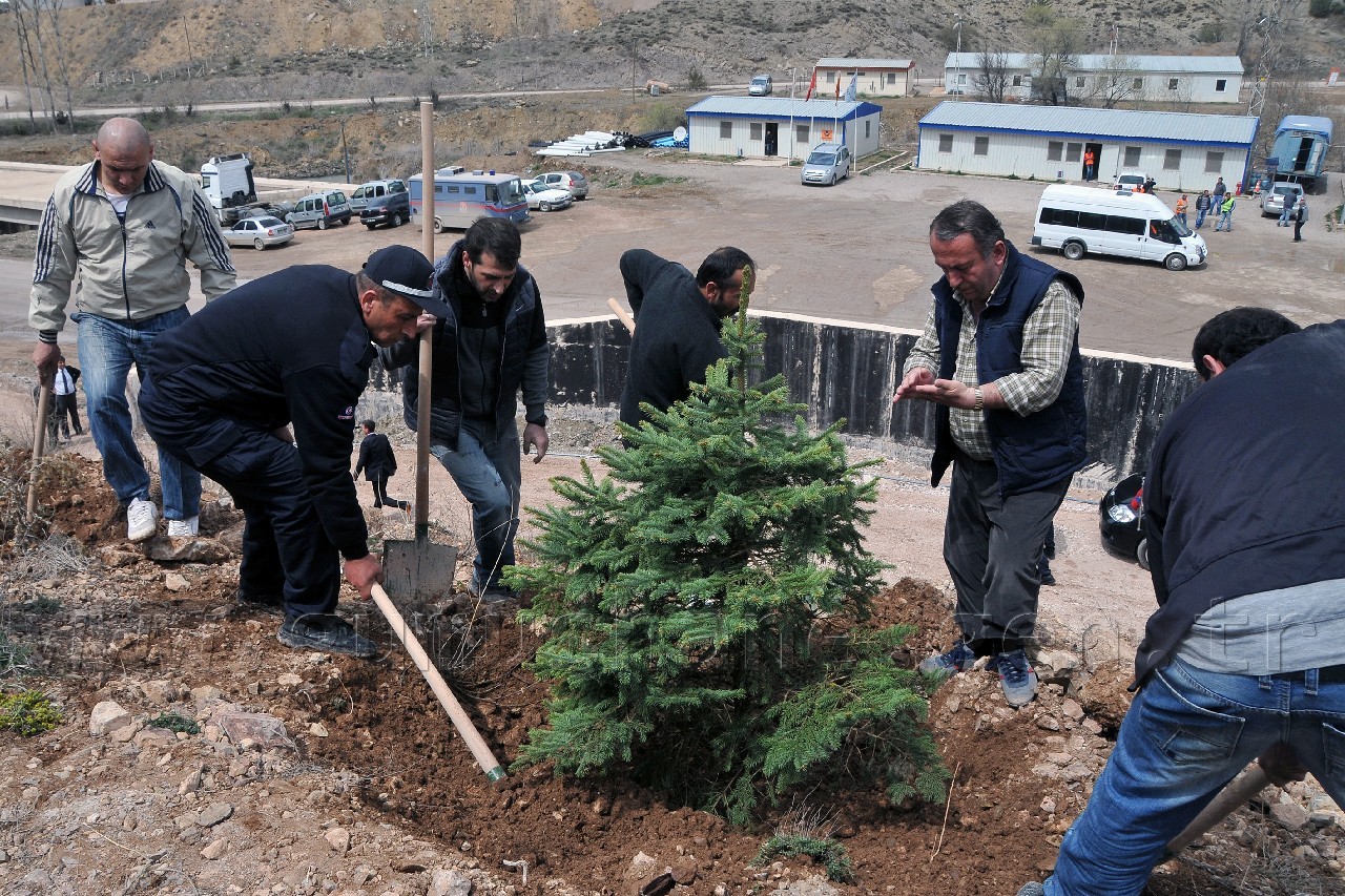Şehit Cumhuriyet Savcısı Murat Uzun Adına Hatıra Ormanı 15