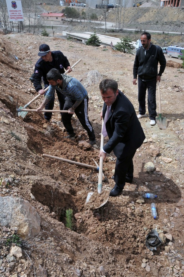 Şehit Cumhuriyet Savcısı Murat Uzun Adına Hatıra Ormanı 19