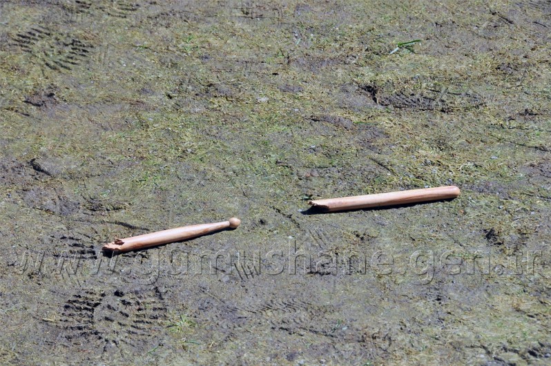 Gümüşhane'de 23 Nisan Coşkusu 70