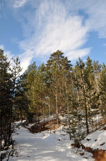 Gümüşhaneli Dağcılar Karanlıkdere'de 8