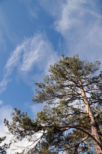 Gümüşhaneli Dağcılar Karanlıkdere'de 9