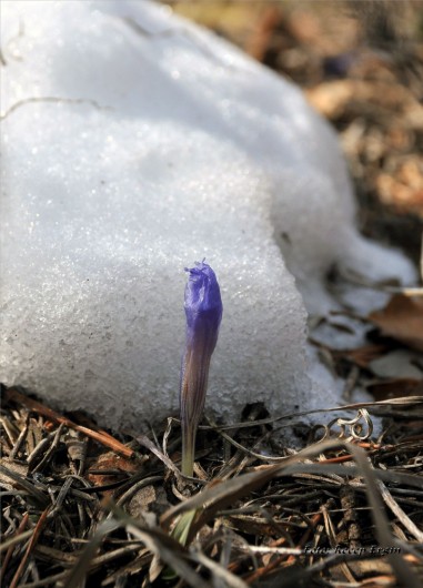 Gümüşhaneli Dağcılar Karanlıkdere'de 14