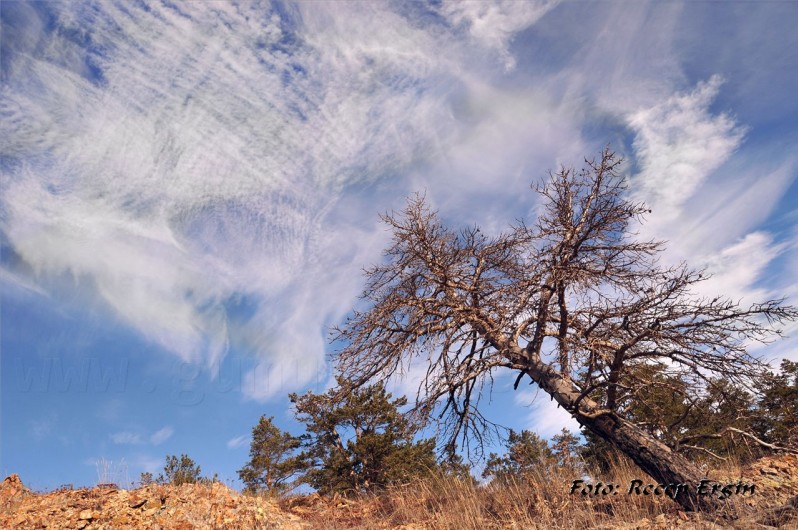 Gümüşhaneli Dağcılar Karanlıkdere'de 51