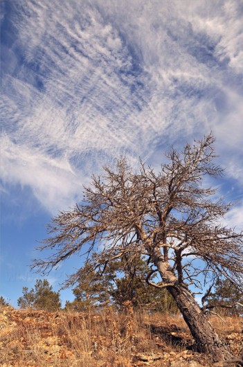 Gümüşhaneli Dağcılar Karanlıkdere'de 52