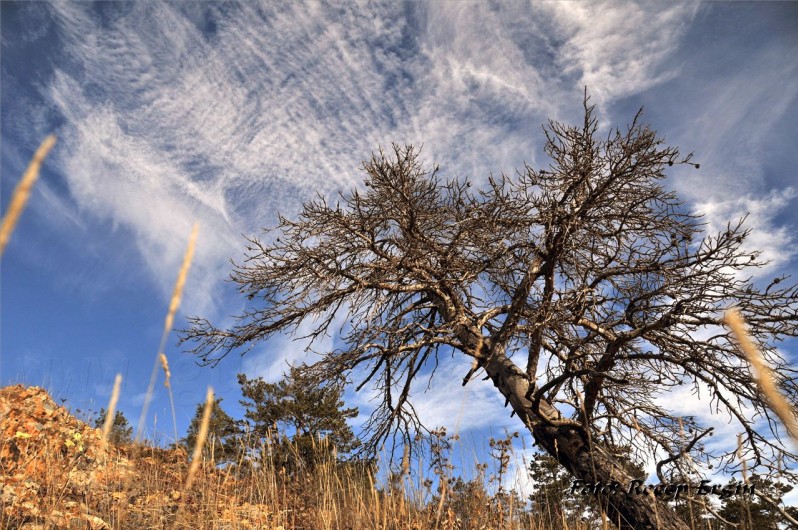 Gümüşhaneli Dağcılar Karanlıkdere'de 53