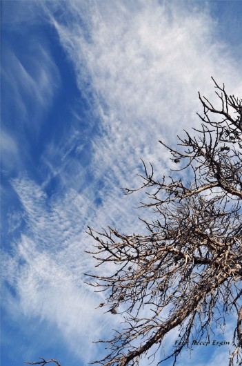 Gümüşhaneli Dağcılar Karanlıkdere'de 54