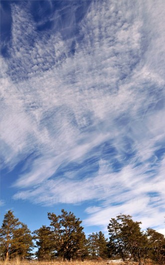 Gümüşhaneli Dağcılar Karanlıkdere'de 55