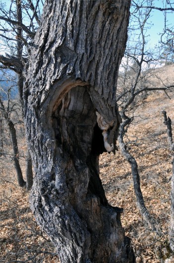 Gümüşhaneli Dağcılar Karanlıkdere'de 73