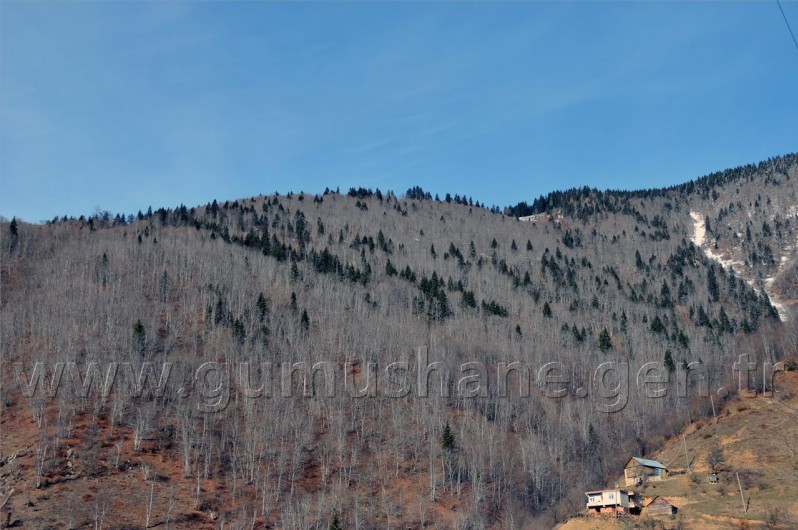 Gümüşhaneli Dağcılar Kürtün'de 14