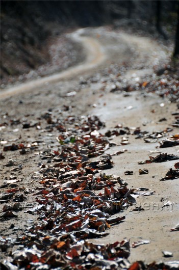 Gümüşhaneli Dağcılar Kürtün'de 15